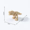 Miniature détaillée de squelette de fossile de Tyrannosaurus Rex pour micro paysage DIY - 5# T-Rex