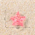 Kreativer rosa leuchtender Seestern Miniatur für DIY Mikrolandschaft und Aquarium Dekor - Rosa