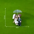 Miniature wedding couple figurine with umbrella for DIY micro-landscape decoration - Couple With Umbrella / Black Suit White Dress Couple