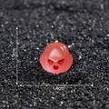 Miniature red luminous Halloween ghost pumpkin figurine measuring 1.3cm by 1.4cm - Red
