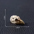 Miniature resin raven skull for DIY terrarium and desktop decoration, 2.6cm length - Crow (6000076948804) / 2.6cmx1.2cm