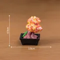 Miniatur Bonsai Kunstbaum im schwarzen Topf 4,9cm x 3,8cm für Puppenhaus Dekoration - 4.9cm x 3.8cm