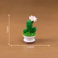 Miniatur-Kaktus-Sukkulenten-Topfpflanze, die Abmessungen sind 4,4 cm x 2,6 cm groß - 4.4cm x 2.6cm