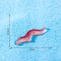 Miniature de poisson plat rose lumineux pour décoration d'aquarium et paysage, 4cm long - Rose Violet