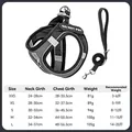 Reflective mesh dog harness and leash set in grey with size guide for small to medium dogs - XS / 4th Gen Upgrade Black