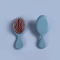Spazzola per capelli massaggiante blu compatta con setole morbide antistatiche top - Celeste