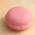 Portable pink macaron-shaped plastic jewelry storage box for rings and earrings - 10*5cm / Large Pink