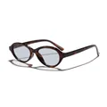 Vintage oval frame sunglasses with tortoiseshell pattern and light blue lenses for women - Mixed Tortoise Gray Lens