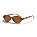 Vintage retro oval sunglasses featuring translucent brown PC frames and matching lenses - Dark Tea Frame Tea Lens