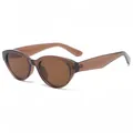 Retro cat-eye zonnebril met bruin transparant montuur en bijpassende glazen - Donker Thee Frame Thee Lenzen