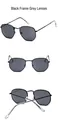 Black polygonal metal frame sunglasses with grey lenses for a retro fashion look - Black Frame (tyj3548) / Gray