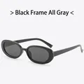Lunettes de soleil rétro ovales à petite monture noire et verres gris classiques - Monture Noire Gris Complet