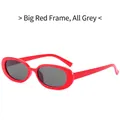 Lunettes de soleil rétro à petit cadre ovale rouge avec des verres gris foncé - Monture Rouge Verre Gris