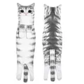 Realistic grey tabby cat hanging hand towel front and back view on white background - Gray Cat