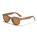 Vintage brown translucent round frame sunglasses with UV protection for men and women - Dark Tea Frame Tea Lens