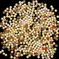 Mixed candy color 4mm faceted acrylic bicone beads for DIY jewelry - 10g/Pack (Approx. 300 Pcs) / Sweet Cool Yellow