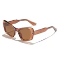 Gafas de sol ojo de gato marrones con montura grande translúcida para un estilo retro - Montura Té Oscuro Lentes Té