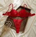 Detailed macro view of red lace lingerie set with elegant rose embroidery design - S / Top And Bottom / Red