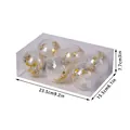Set de 6 bolas de Navidad transparentes de 8 cm con plumas y estrellas - Juego de 6 / Dorado