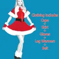 Women's Santa Claus costume set includes shawl, dress, gloves, belt and leg warmers - Set / Velvet