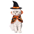 Halloween pet wizard costume with pumpkin print cloak and hat for cats and dogs - Pumpkin Cape & Hat Set / Black/Orange