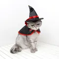 Pet Halloween wizard costume set with black and red cloak and pointed hat - Cape & Hat Set / Black/Red
