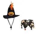 Set de disfraz de Halloween para mascotas con sombrero de calabaza y collar de araña - Conjunto de Gorro y Bufanda de Telaraña