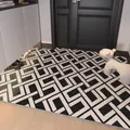 Modern geometric black and white PVC doormat with non-slip texture for indoor entrance - 40*60cm / Black Jade Greek Key Pattern