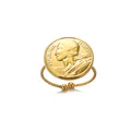 Detalle macro del anillo de moneda en acero dorado con motivo Republique Francaise - Estilo de Silueta de Moneda Francesa (G124961)