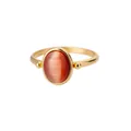 Detailed view of a gold-plated stainless steel ring featuring an oval orange stone - Adjustable / Orange-Red Cat's Eye Style (G122881G-1)