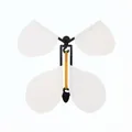 Papillon volant magique avec ailes en papier blanc et moteur élastique pour cadeaux originaux - Papillon Blanc Cadre Noir (Pièce Unique)