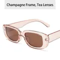 Modern stylish champagne transparent square sunglasses with protective brown lenses - Champagne Frame / Tea Lens
