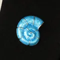 Exquisite meeresinspirierte nautilus-schalen-brosche aus blauem emaille mit goldakzenten - Muschelschnecke / Blau