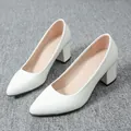 Elegant white chunky heel pumps with comfortable pointed toe in a classic French style - 35 / Pointed Toe Block Heel Style (p001) / White