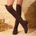 Close-up view of brown lace-up over-the-knee boots featuring a side zipper detail - 35 / Lace-up Zipper Over-the-Knee Boots (1618) / Coffee