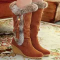 Close-up of brown suede-like tall boots with soft fur trim, tassels, and stylish wedge heels - 35 / Tan