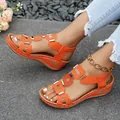 Stylish orange wedge sandals for women with gold metal buckles shown on feet with jeans - Orange Red