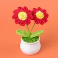 Hand-crocheted red flower potted plant with white ceramic-style vase - Double Head Sunflower Potted Plant - Red