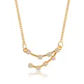 Elegant gold constellation pendant necklace with clear zircon stones on a white background. - Capricorn (6759)