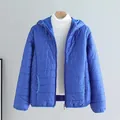 Leichte hellblaue Damen-Steppjacke mit Kapuze und modischem, gestepptem Design - M / Oberteile / Saphirblau