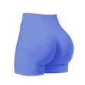 Seamless high-waisted peach lift yoga shorts in a vibrant electric blue color. - XS / Bottoms / Lake Blue