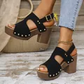 Detailaufnahme von schwarzen Plateausandalen mit Metallnieten und Blockabsatz - 36 / Schwarz
