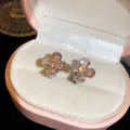 Detailed close-up view of elegant champagne zircon flower clip-on earrings in a pink gift box - Clip-On Earrings / Silver-Coffee