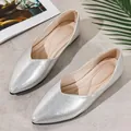 Elegant silver metallic pointed-toe flat shoes for women with a comfortable cushioned sole. - 35 / Silver