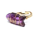 Macro detail of a hand-wrapped gold ring featuring a carved purple amethyst fish - Fish Shaped Carving (aljylr2064) / Amethyst