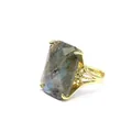 Detailed view of a rectangular faceted labradorite gemstone ring with golden floral setting - Labradorite