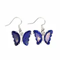 Vista macro di orecchini a farfalla in pietra naturale blu con eleganti ganci d'argento - Lapislazzulo