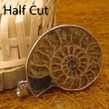 Natural ammonite fossil slice pendant with spiral pattern and silver frame - Longitudinal Cut Style / Half Ammonite