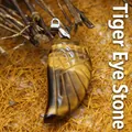 Ciondolo ala in pietra occhio di tigre intagliato a mano con eleganti dettagli incisi - Ciondolo Ala Occhio di Tigre Solo / Marrone chiaro