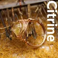Handmade rose gold wire wrapped ring with a round yellow citrine gemstone bead - One Size / Citrine